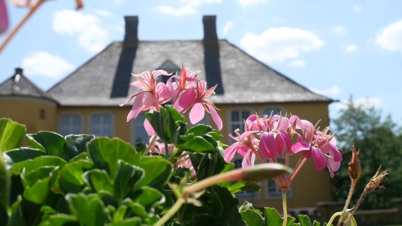 Hotel Schloss Diepenbrock Bocholt Kültér fotó